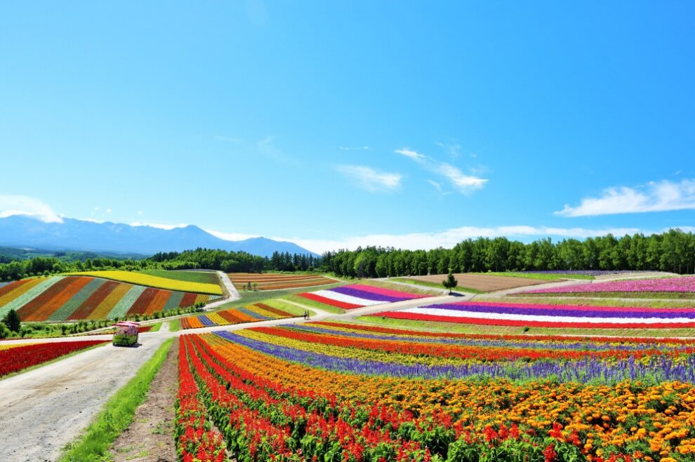 北海道の美しい風景