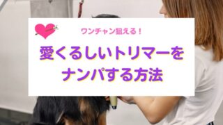 愛くるしいトリマーをナンパする方法